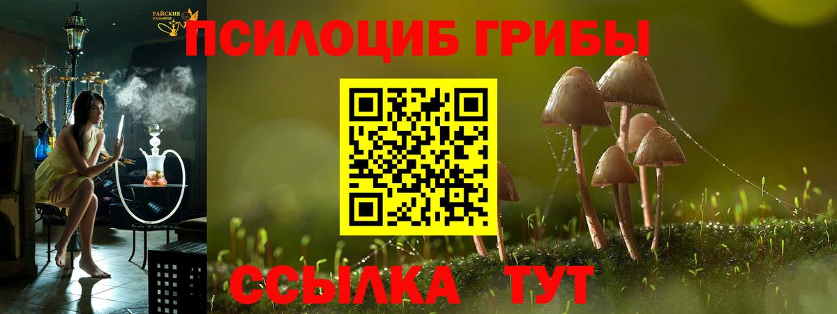 Псилоцибиновые грибы GOLDEN TEACHER Элиста