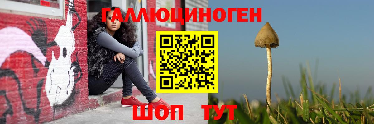 Элиста  закладка  Вход с VPN  Галлюциногенные грибы Psilocybine cubensis 